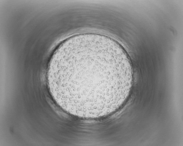 X0000114111499200911161108