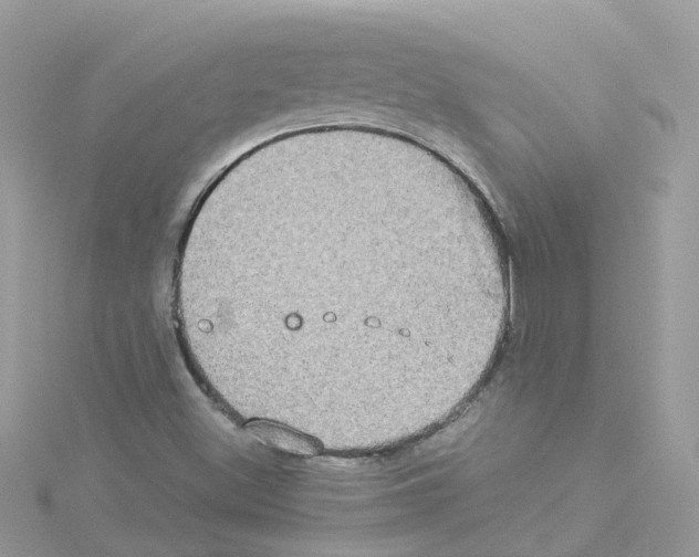 X0000114111500200911161108