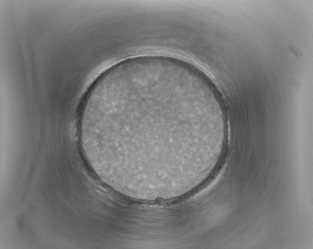 X0000114111501200911161108