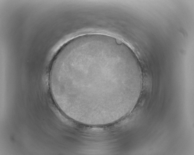 X0000114111503200911161108