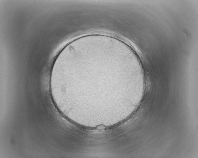 X0000114111504200911161108