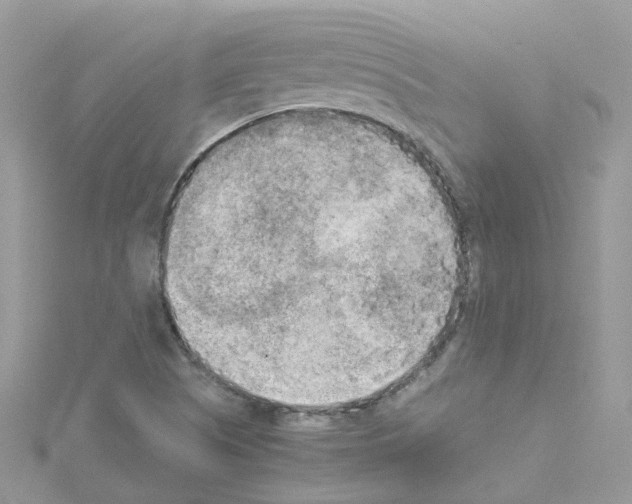 X0000114111505200911161108