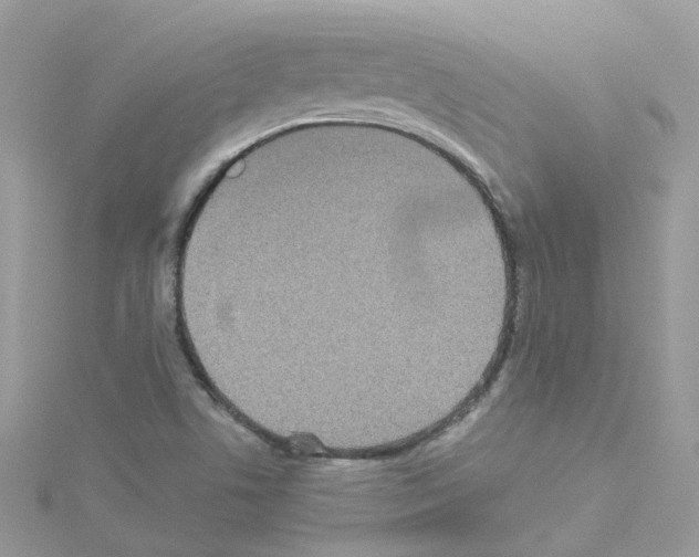 X0000114111506200911161108