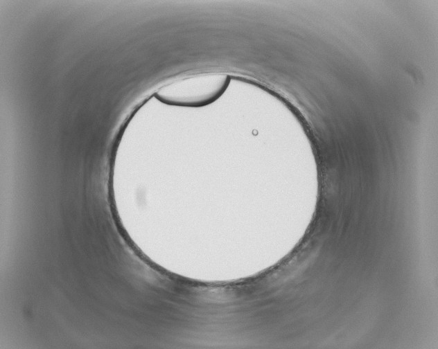 X0000114111508200911161108