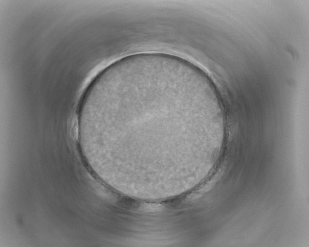 X0000114111509200911161108