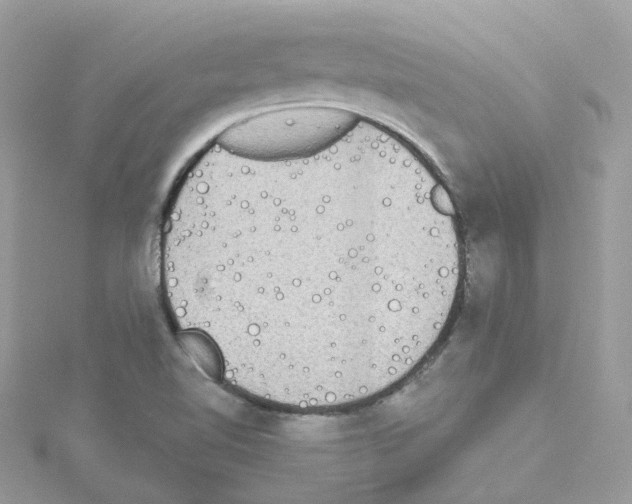 X0000114111510200911161108