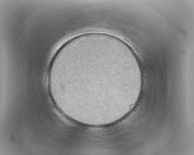 X0000114111511200911161108