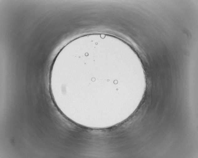 X0000114111512200911161108