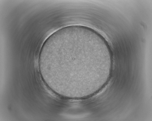 X0000114111513200911161108