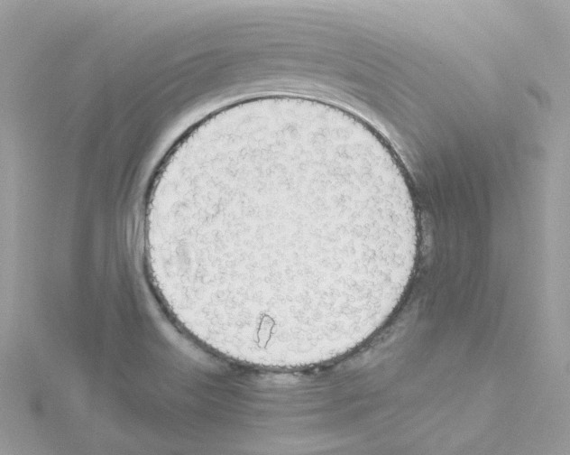 X0000114111515200911161108