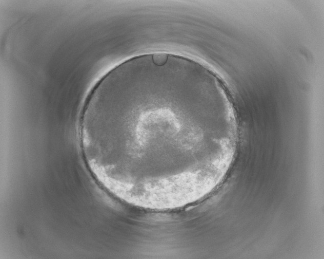 X0000114111517200911161108