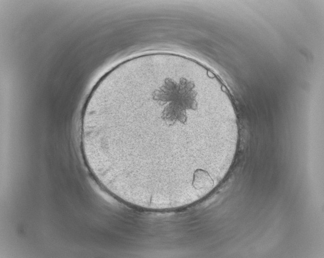 X0000114111519200911161108