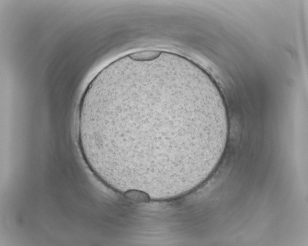 X0000114111520200911161108