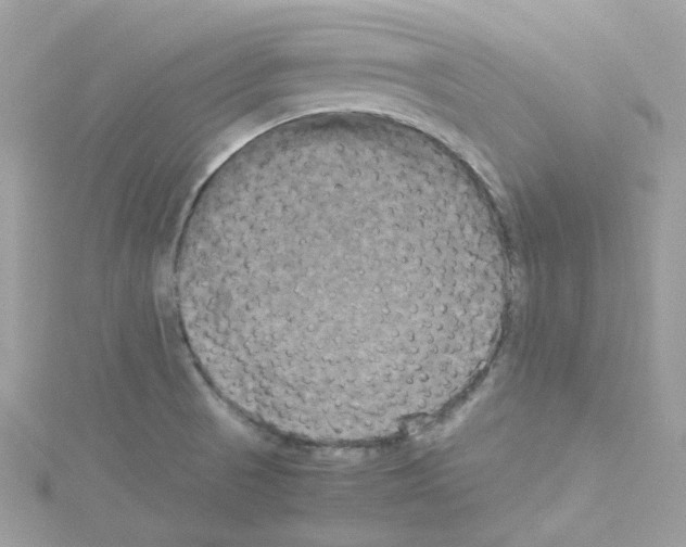 X0000114111521200911161108