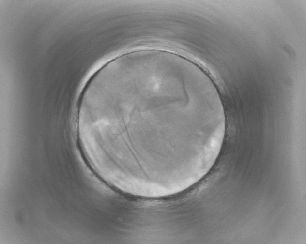 X0000114111522200911161108