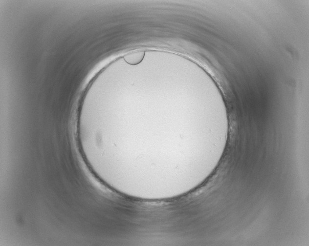 X0000114111523200911161108