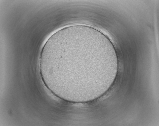 X0000114111524200911161108