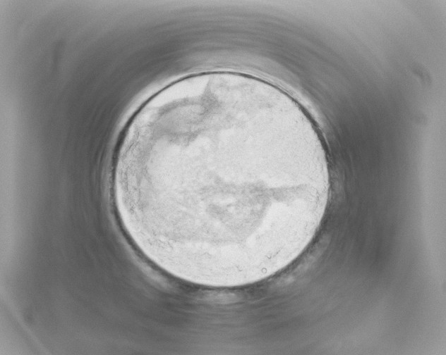 X0000114111525200911161108