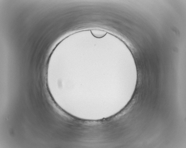 X0000114111526200911161108