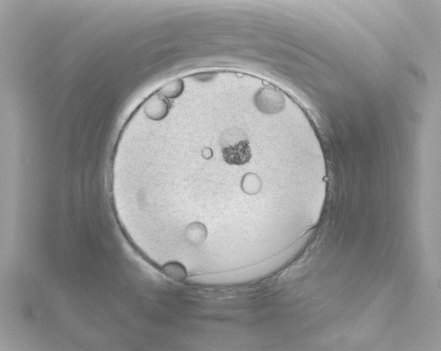 X0000114111527200911161108