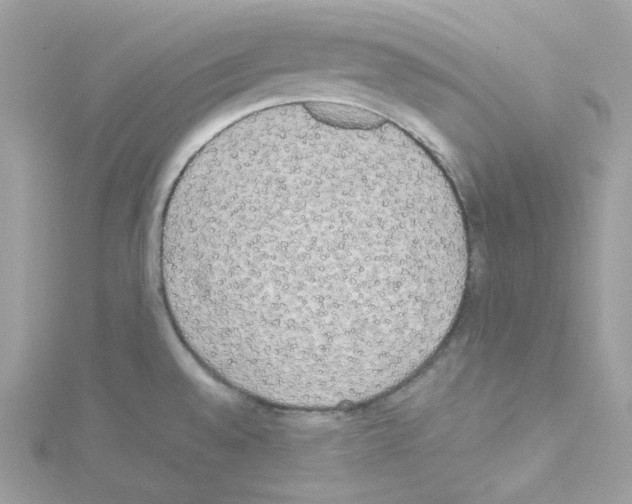 X0000114111528200911161108