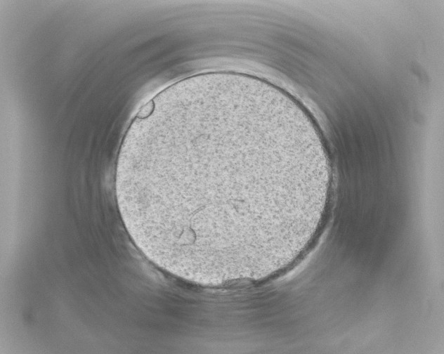 X0000114111529200911161108