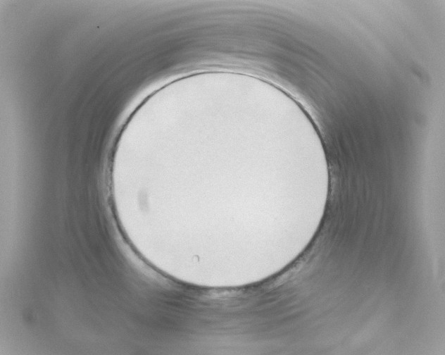 X0000114111531200911161108