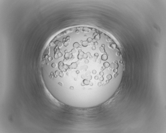 X0000114111532200911161108