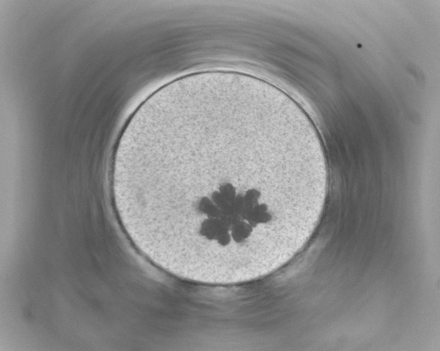 X0000114111533200911161108