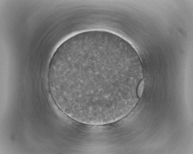 X0000114111534200911161108