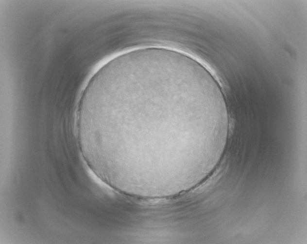 X0000114111535200911161108