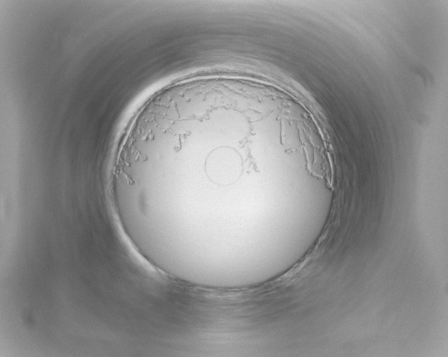 X0000114111536200911161108