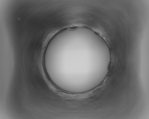 X0000114120001200910051308