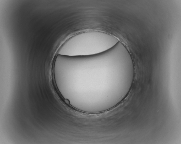 X0000114120002200910051308
