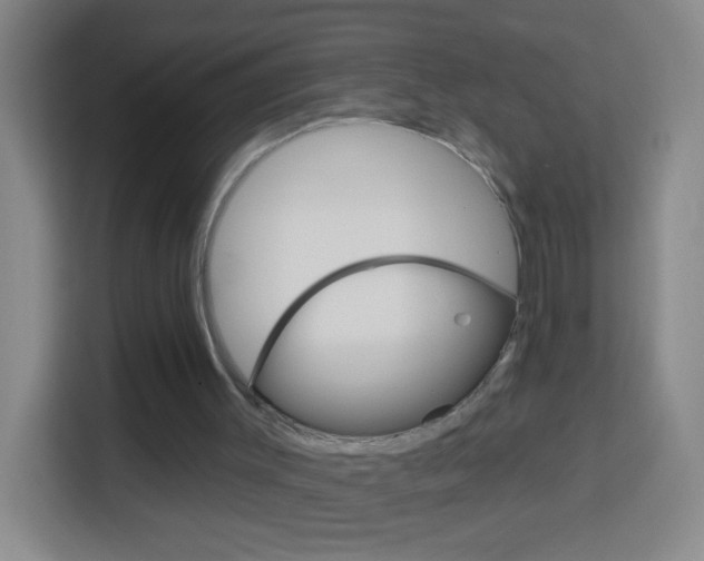 X0000114120003200910051308