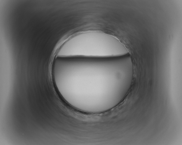 X0000114120004200910051308