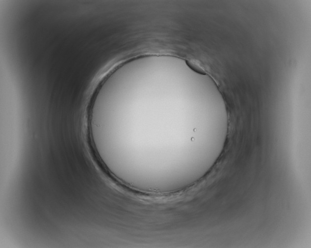 X0000114120005200910051308