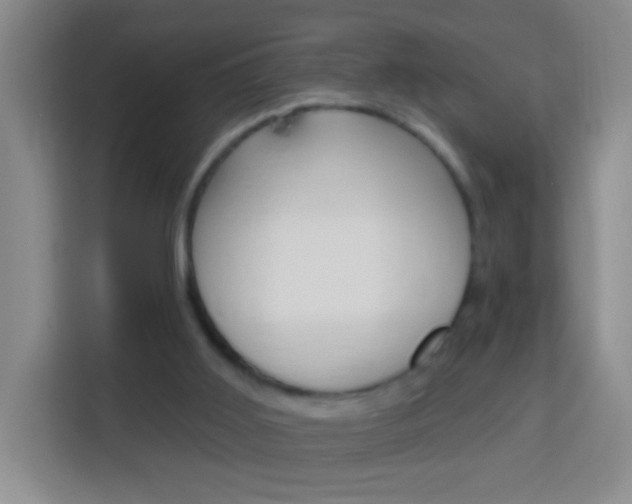 X0000114120011200910051308