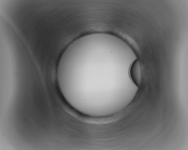 X0000114120017200910051308