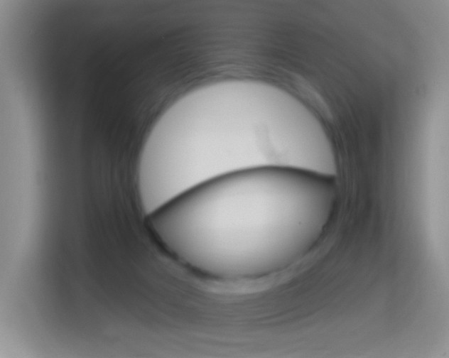 X0000114120025200910051308