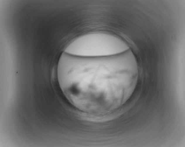 X0000114120026200910051308