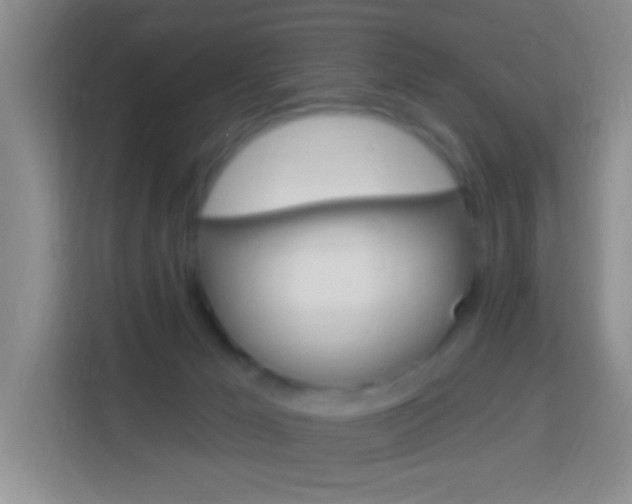 X0000114120029200910051308