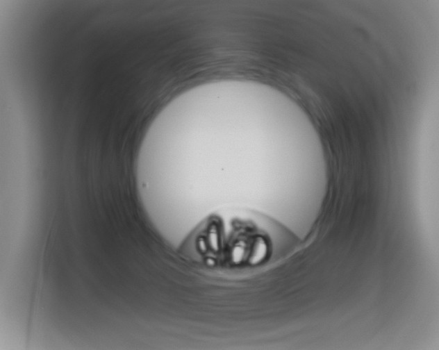 X0000114120033200910051308