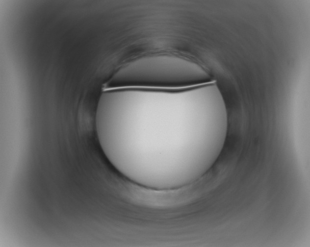 X0000114120039200910051308