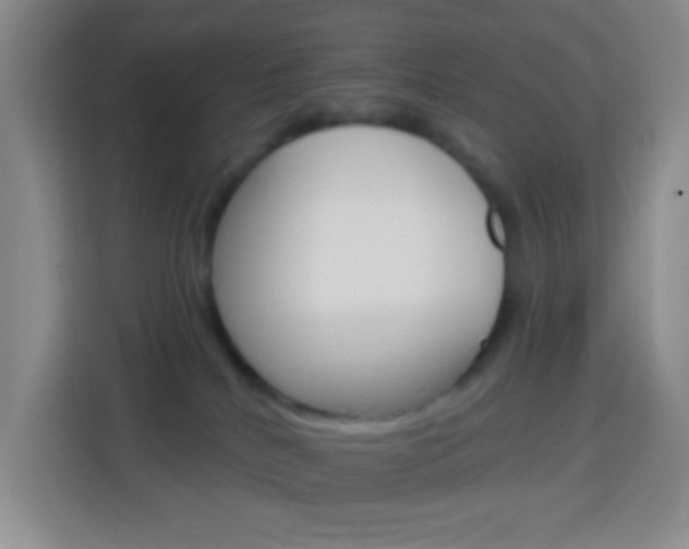 X0000114120040200910051308