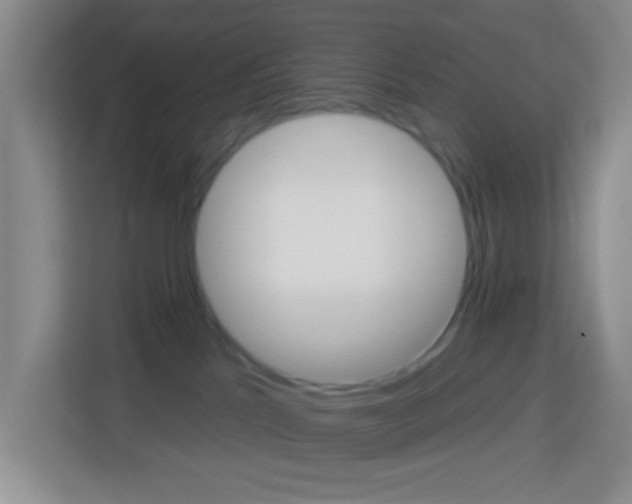X0000114120041200910051308