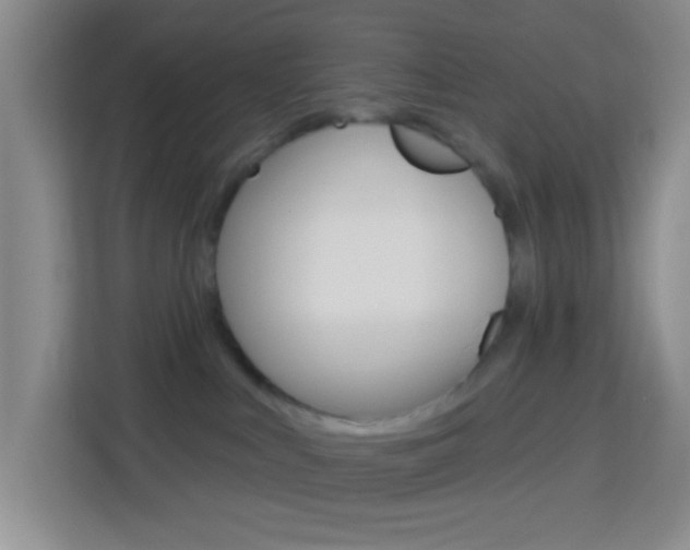 X0000114120043200910051308