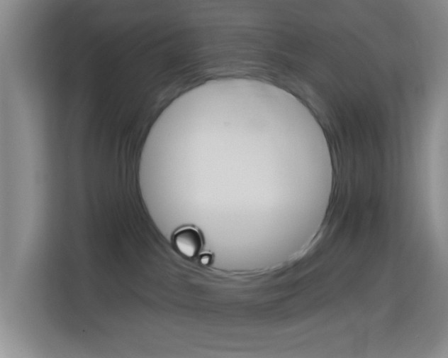X0000114120045200910051308