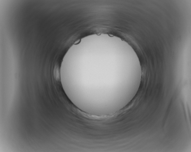 X0000114120046200910051308