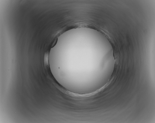 X0000114120047200910051308